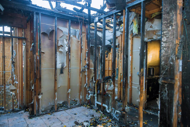 Professional Fire Damage Assessment technician working in Steamboat Springs, CO